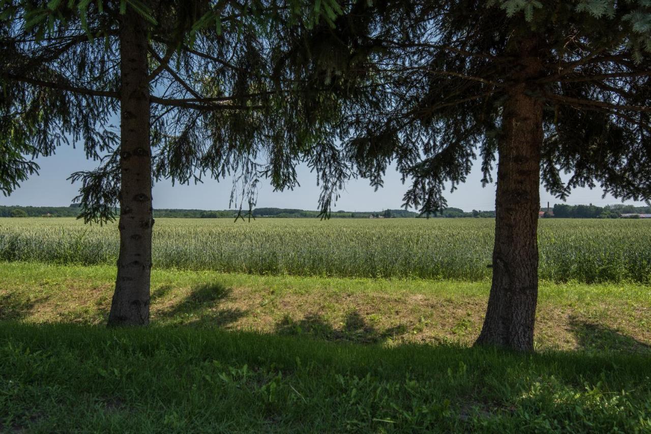 Posteleki Vendeghaz-Nyugalom Szigetei Villa Gyula Exterior photo